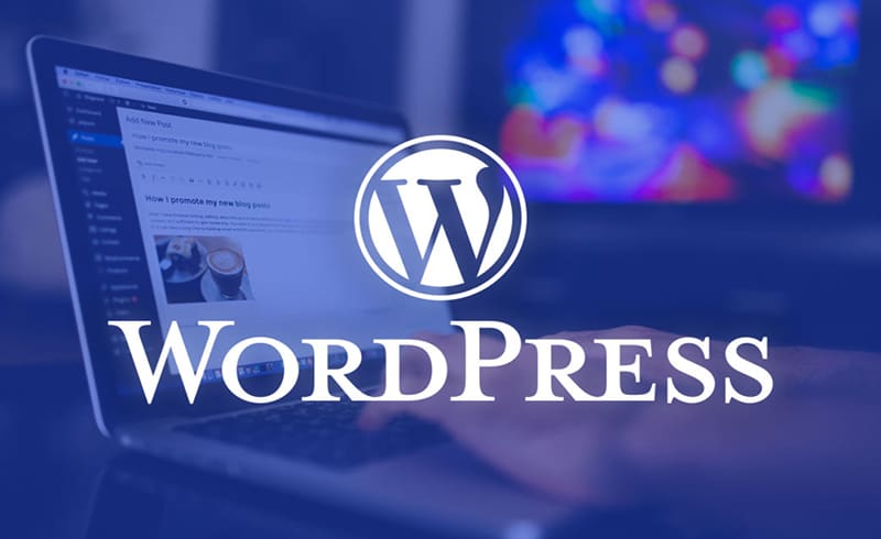WordPress 𝘀𝗲𝗯𝗮𝗴𝗮𝗶 𝗣𝗹𝗮𝘁𝗳𝗼𝗿𝗺 𝗧𝗲𝗿𝗽𝗼𝗽𝘂𝗹𝗲𝗿 – WebWirausaha WordPress 𝘀𝗲𝗯𝗮𝗴𝗮𝗶 𝗣𝗹𝗮𝘁𝗳𝗼𝗿𝗺 𝗧𝗲𝗿𝗽𝗼𝗽𝘂𝗹𝗲𝗿 – WebWirausaha